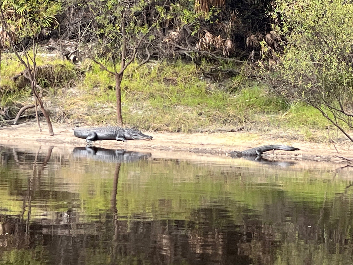 8. CANOE CREW TOUR - 3-4 HOUR PADDLE